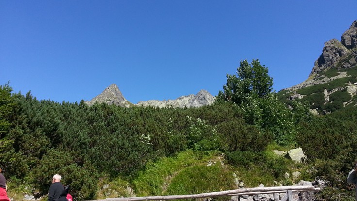 20150820_114645