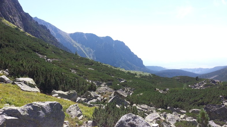 20150820_120025